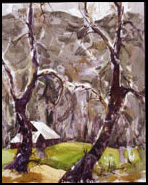 sycamore barn